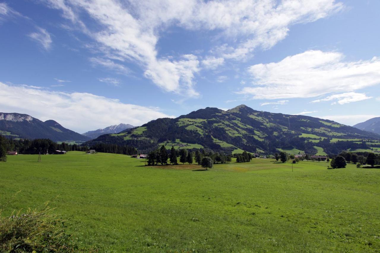 Landhaus Manzl Hopfgarten im Brixental Bagian luar foto